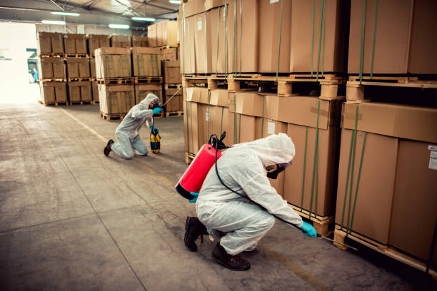 Best Affordable Pest Control Services  in Downingtown, PA