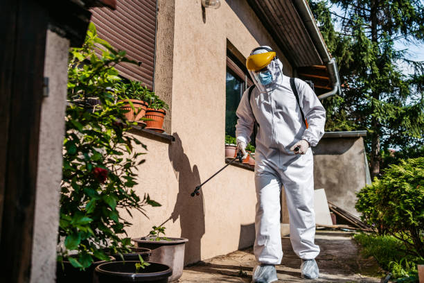 Best Flea Control Services  in Downingtown, PA