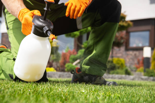 Pest Control for Restaurants in Downingtown, PA