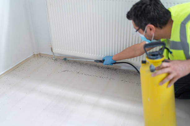 Best Cockroach Control Services  in Downingtown, PA